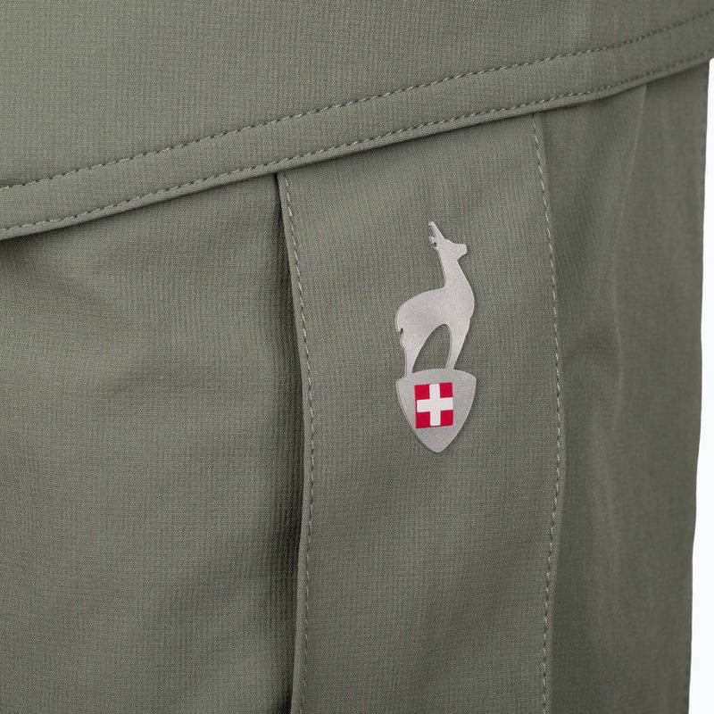 Men's trekking shorts Aulp Banco lichen 7