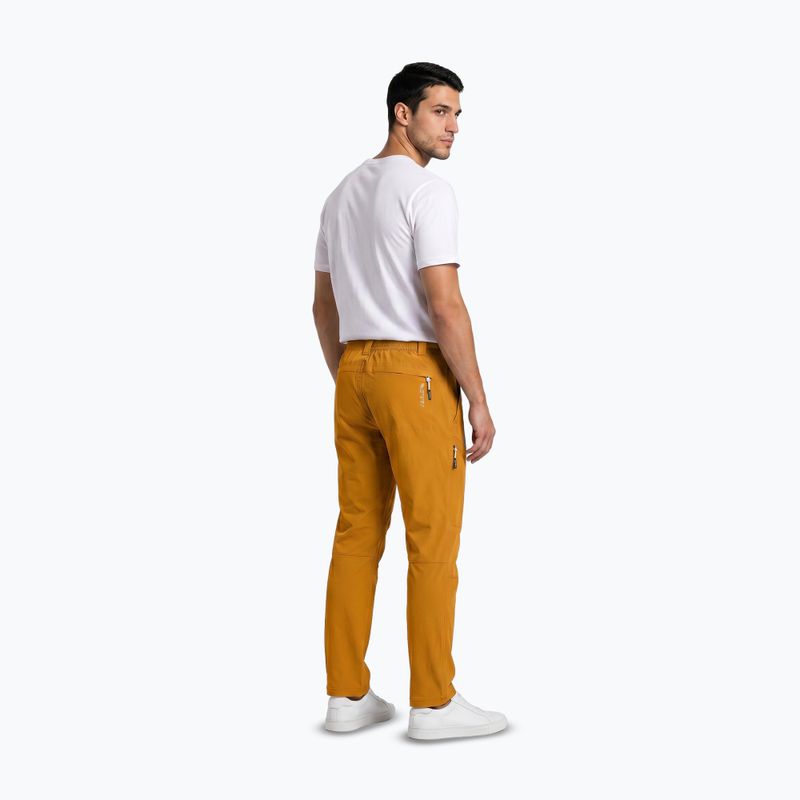 Men's trekking trousers Aulp Brady kombucha 3