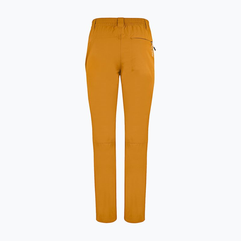 Men's trekking trousers Aulp Brady kombucha 7
