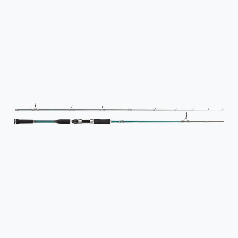 Abu Garcia Beast X Pike 842 H rod