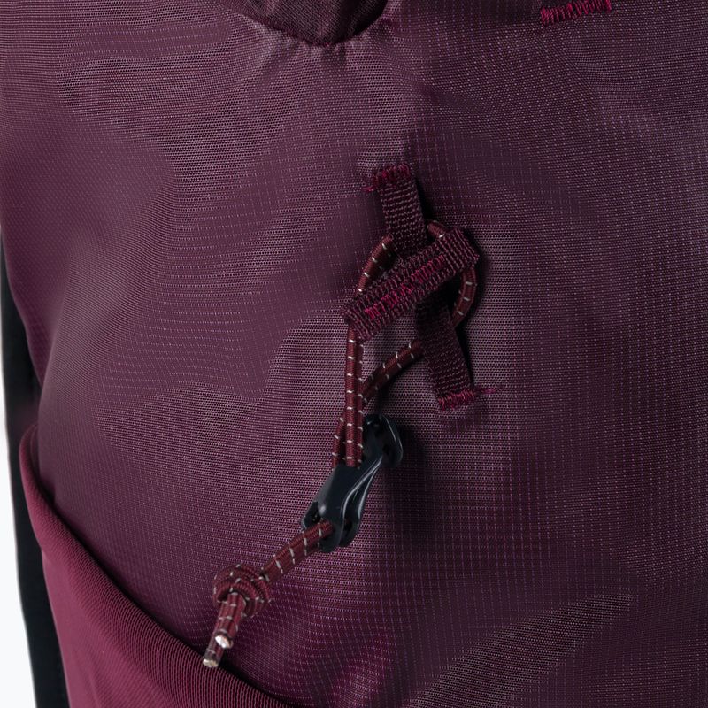 BLUE ICE Dragonfly Pack 18L hiking backpack maroon 100014 6