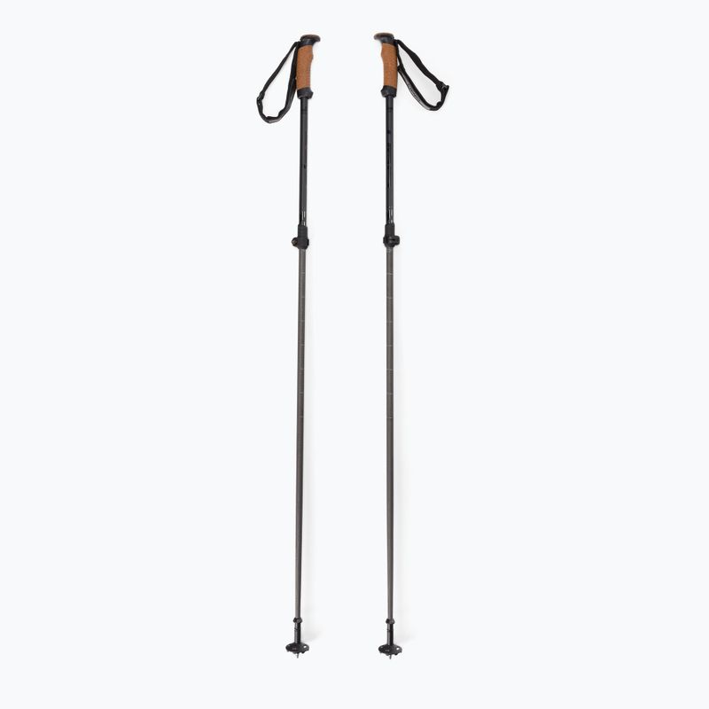 Elan Voyager Rod ski poles black CD907620