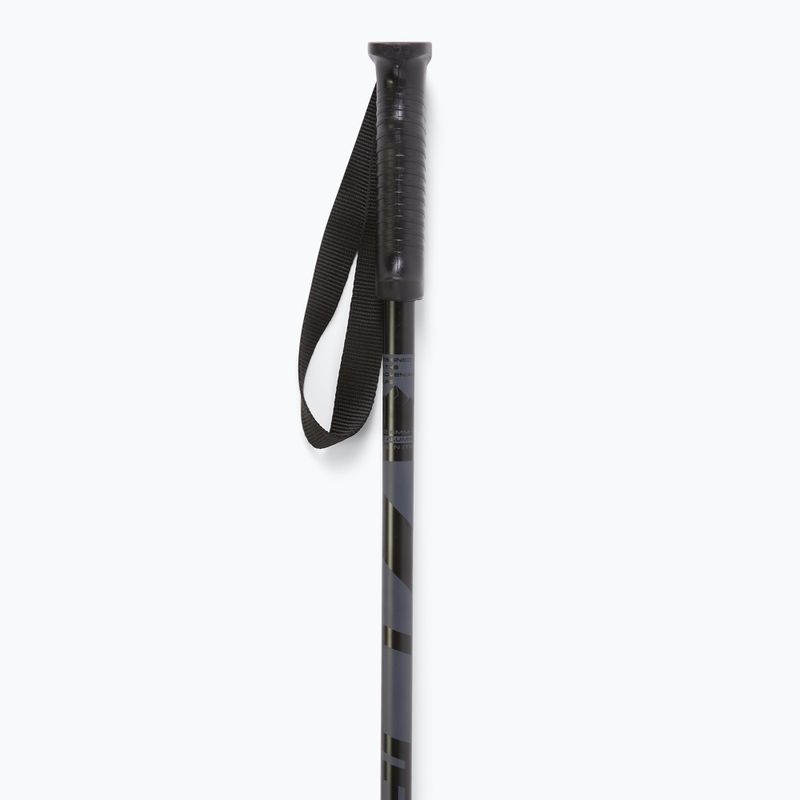 Elan Hotrod ski poles black 2