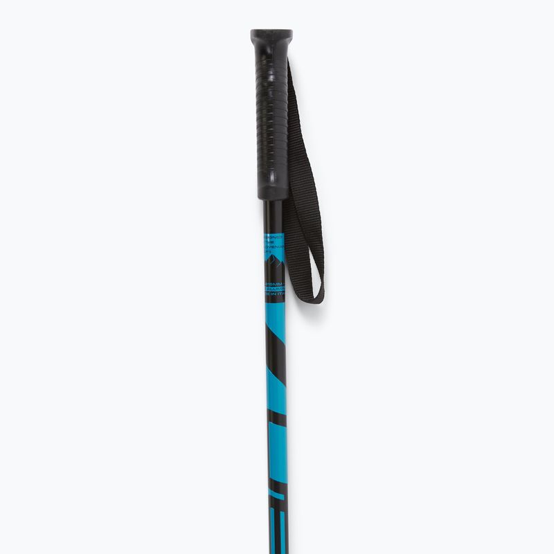 Elan Hotrod blue ski poles 2