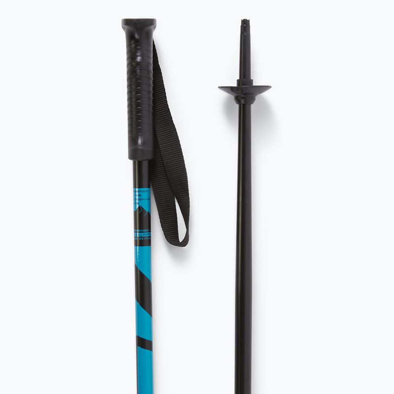 Elan Hotrod blue ski poles 3