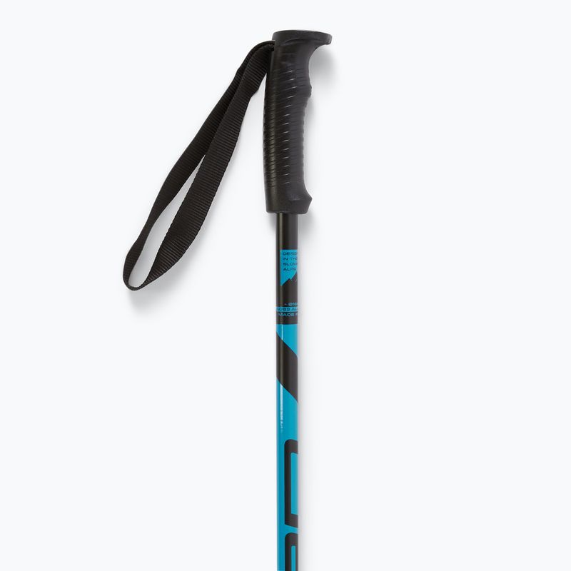 Elan Hotrod blue ski poles 4