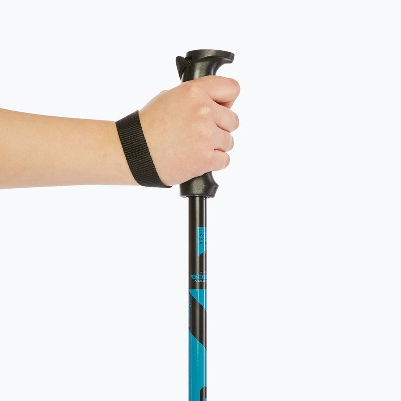 Elan Hotrod blue ski poles 6