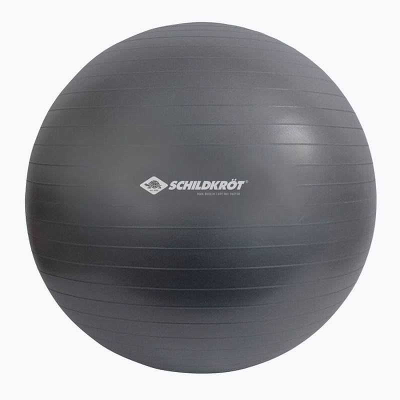 Schildkröt Gymnastic grey ball 960158 85 cm