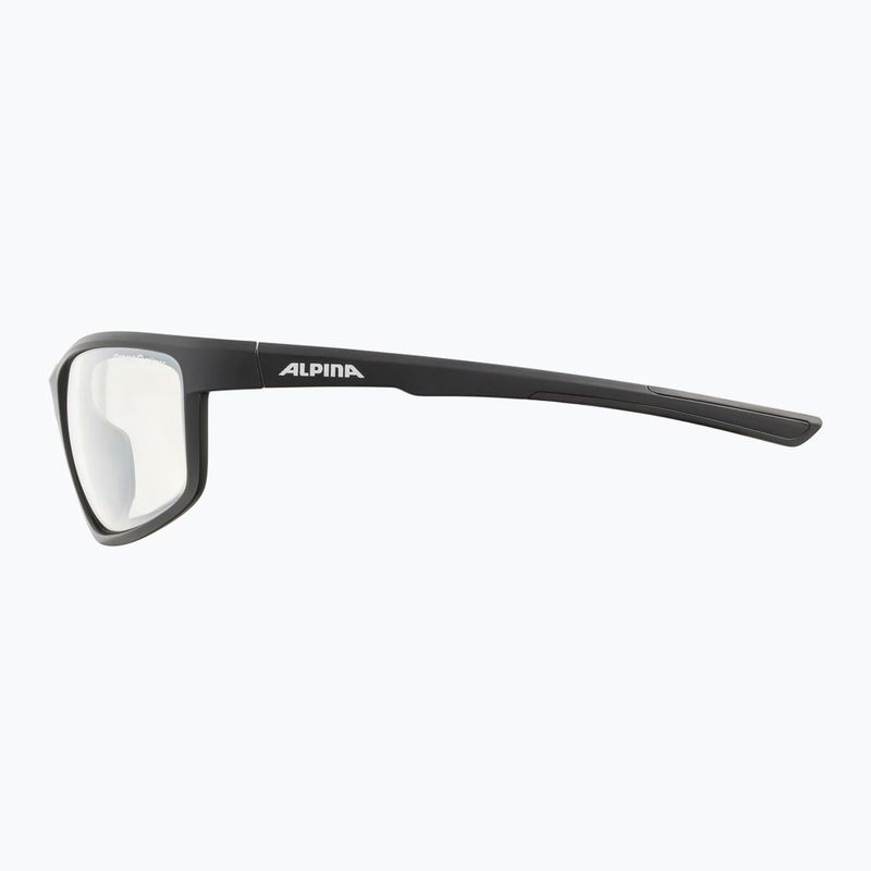 Alpina sunglasses 7