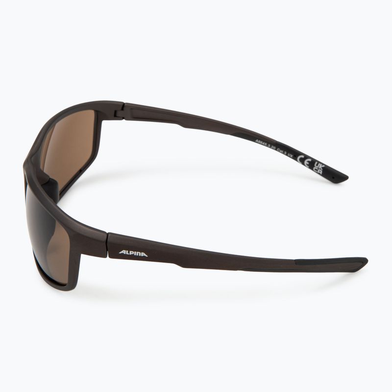 Alpina sunglasses 4
