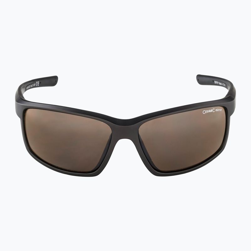 Alpina sunglasses 6