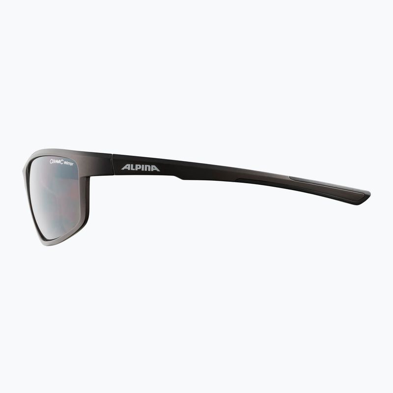 Alpina sunglasses 7