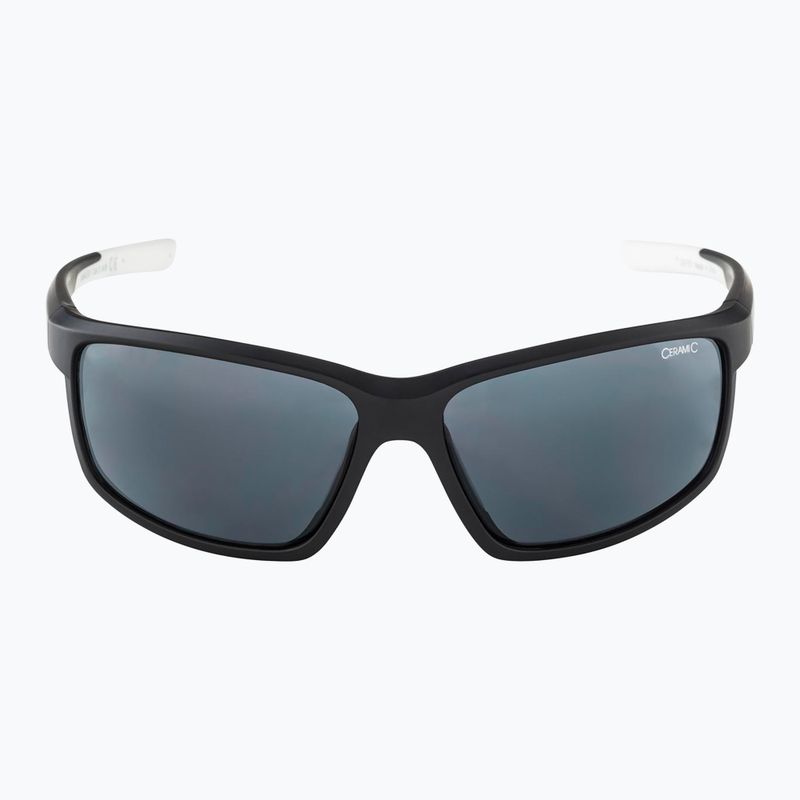 Alpina sunglasses 6