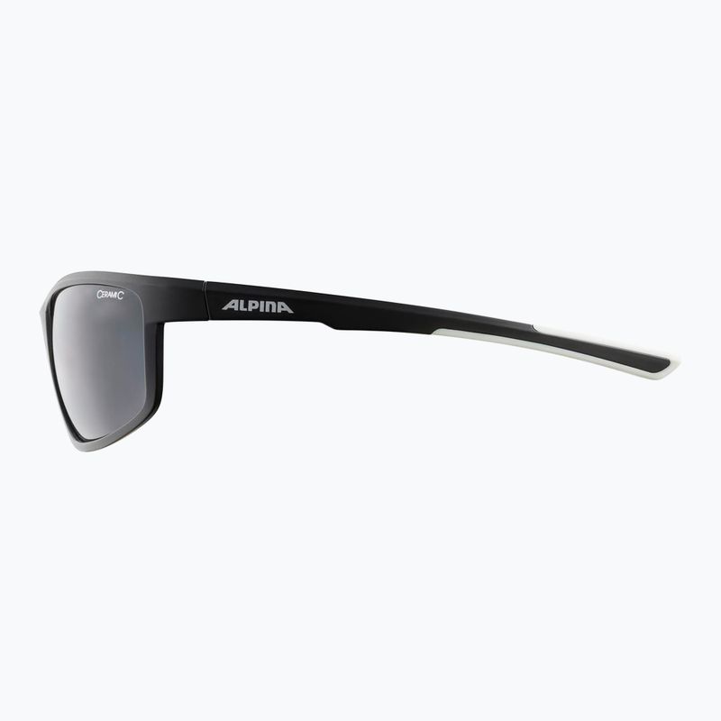Alpina sunglasses 7