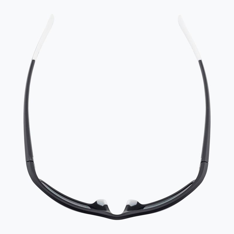 Alpina sunglasses 8