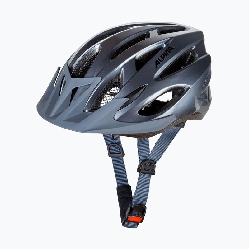 Bike helmet Alpina MTB 17 dark/silver