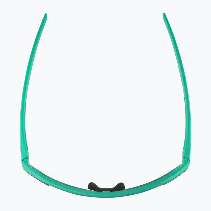 Alpina Bonfire turquoise matt/green sunglasses 4