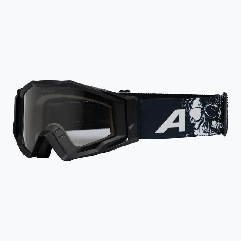 Alpina sunglasses