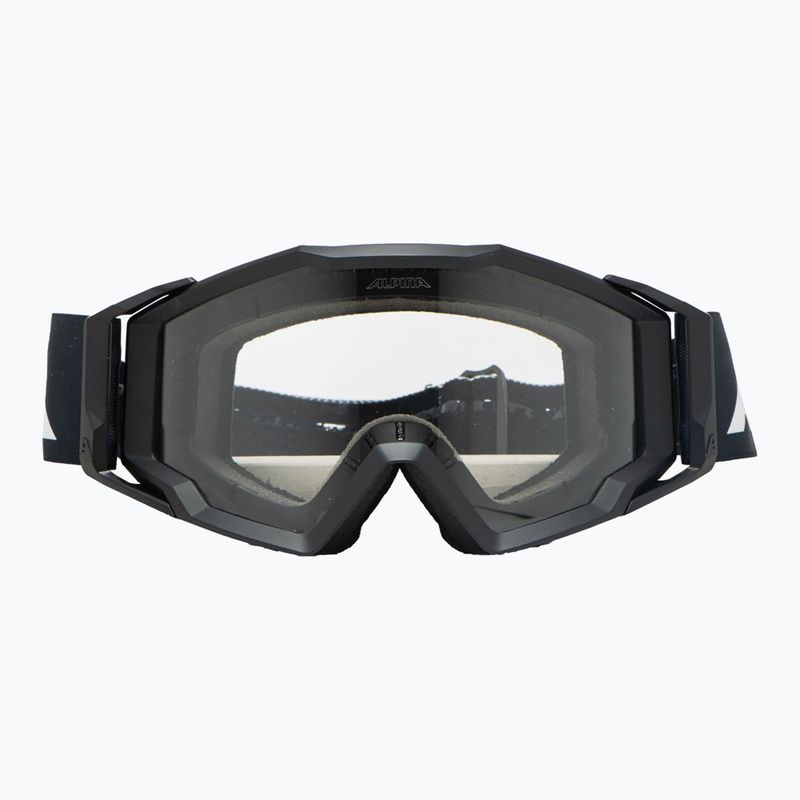 Alpina sunglasses 2