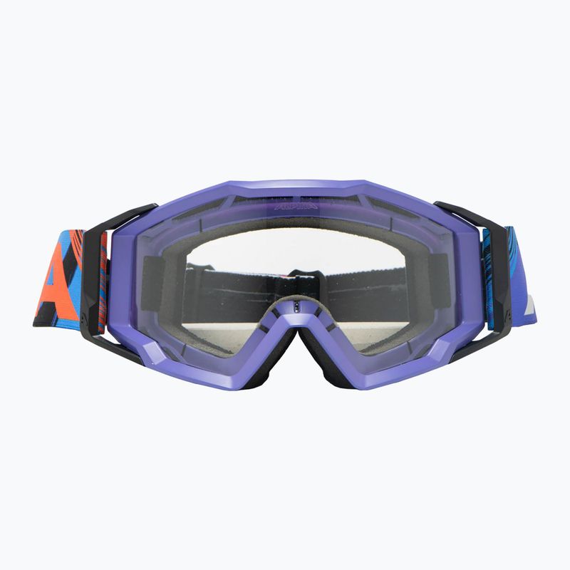 Alpina sunglasses 2
