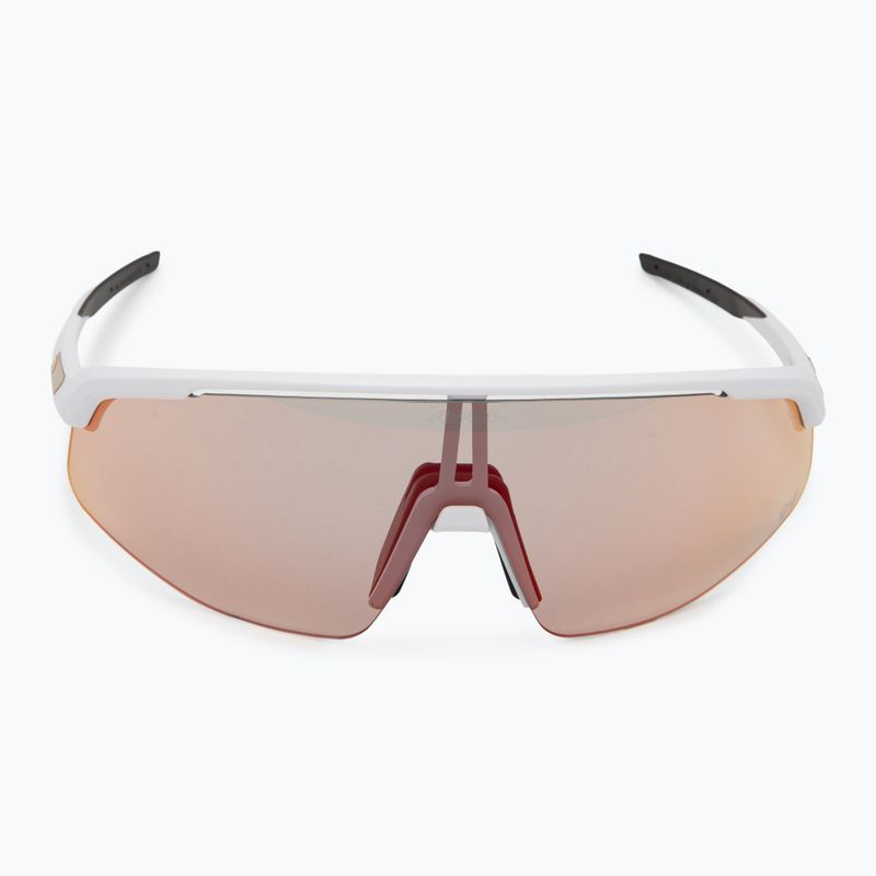 Alpina sunglasses 3