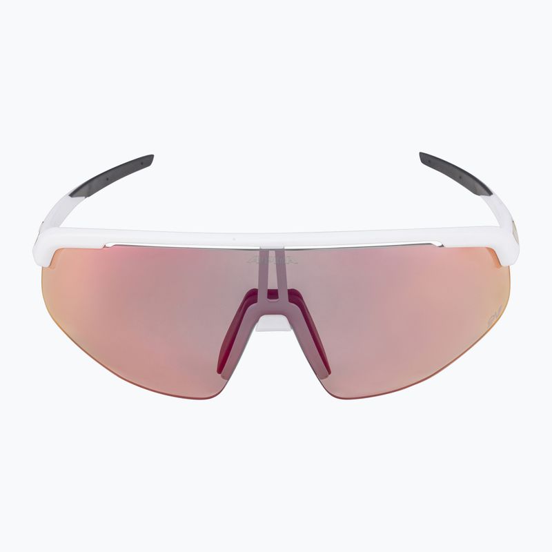 Alpina sunglasses 7
