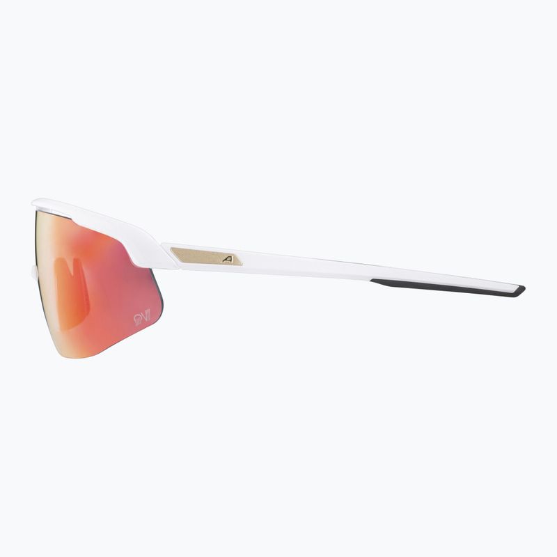 Alpina sunglasses 8