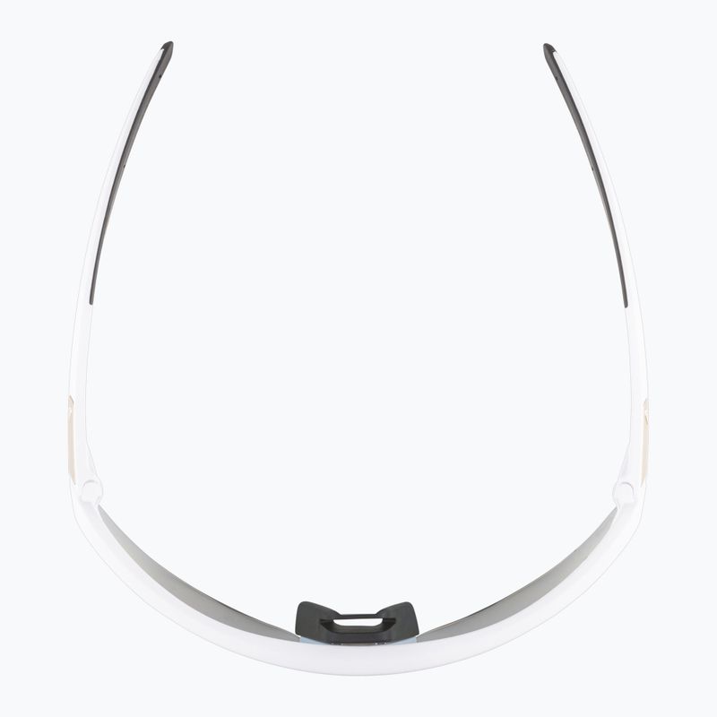 Alpina sunglasses 9