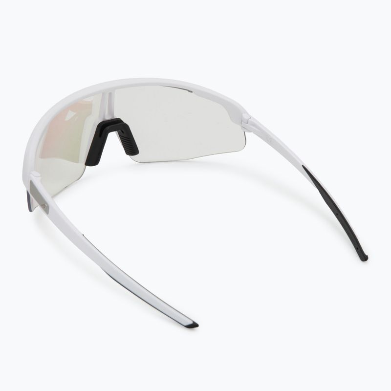 Alpina sunglasses 2