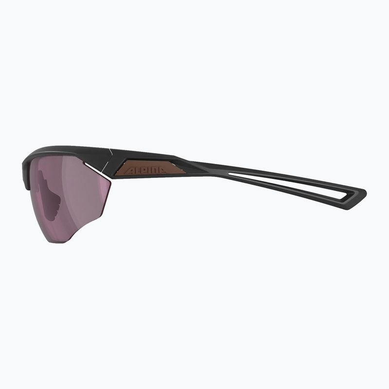 Sunglasses Alpina Nylos HR gun matt/pink 4