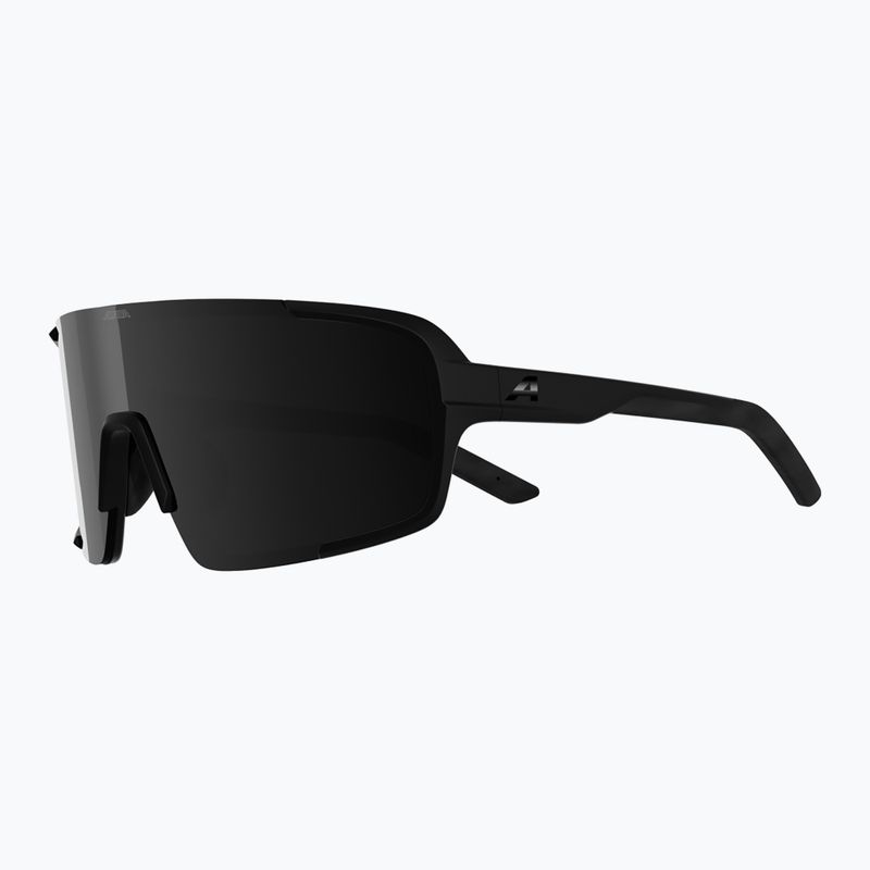 Sunglasses Alpina Lumin black matte/black 4