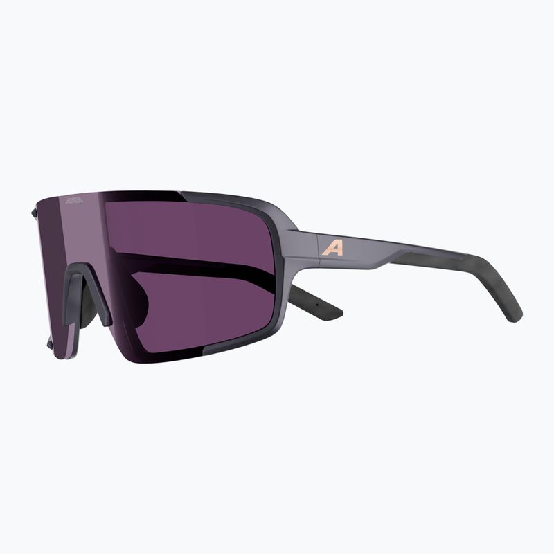 Sunglasses Alpina Lumin gun/metall matt/pink 4