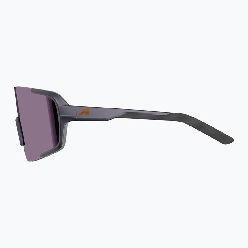 Sunglasses Alpina Lumin gun/metall matt/pink 5