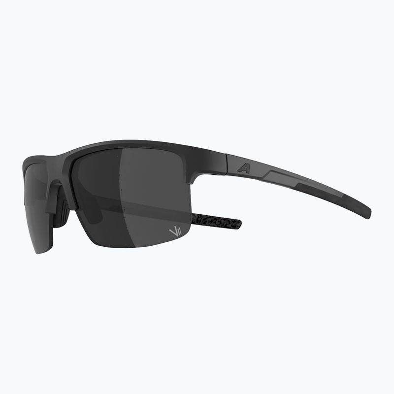 Sunglasses Alpina Eagle Q-Lite black matt/silver mirror 4