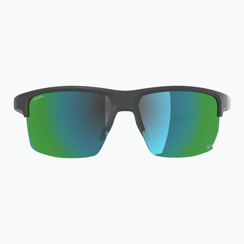 Sunglasses Alpina Eagle Q-Lite midnight/grey matt/green 2