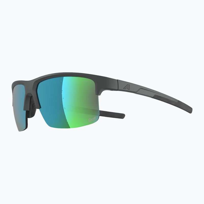 Sunglasses Alpina Eagle Q-Lite midnight/grey matt/green 3