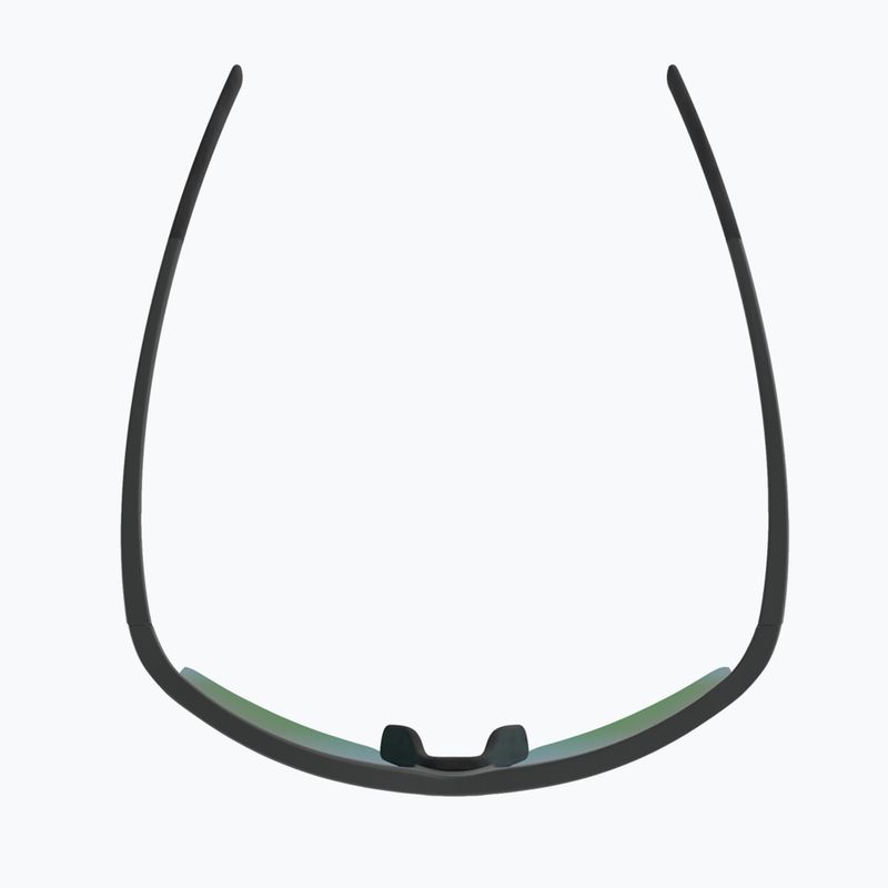 Sunglasses Alpina Eagle Q-Lite midnight/grey matt/green 4