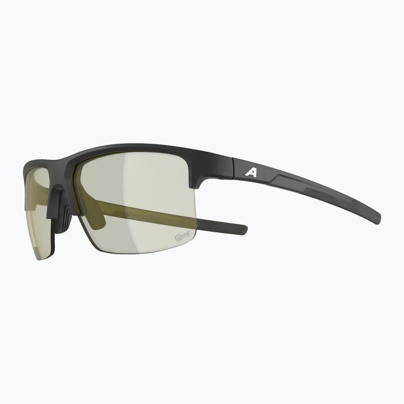 Sunglasses Alpina Eagle Q-Lite black matt/yellow 3
