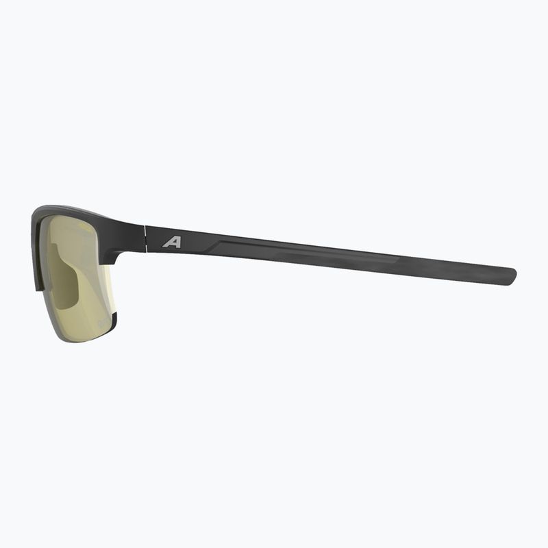 Sunglasses Alpina Eagle Q-Lite black matt/yellow 5