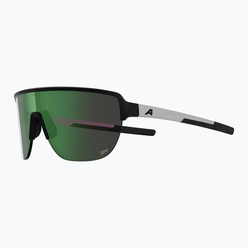 Sunglasses Alpina Ram 2.0 Q-Lite black/white matt/green mirror 4