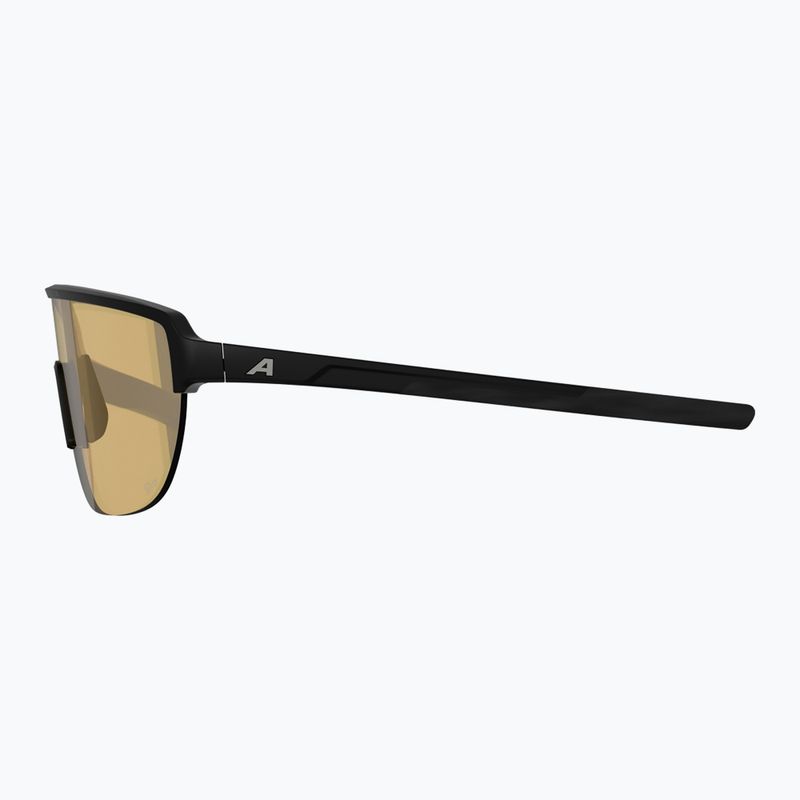 Sunglasses Alpina Ram 2.0 Q-Lite black matt/yellow 5