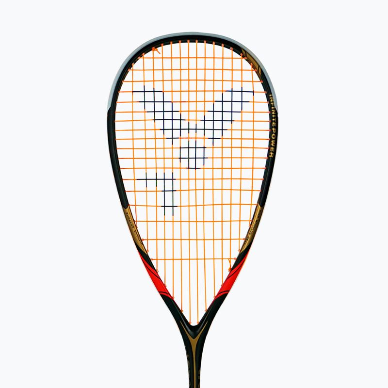 Squash racket VICTOR IP RK 7