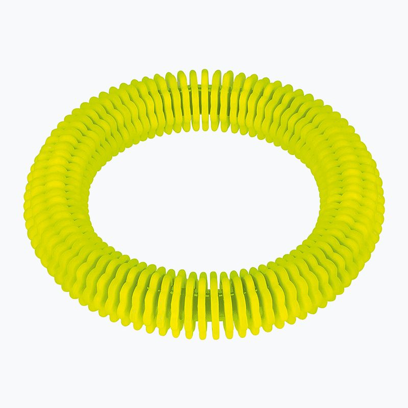 Fashy 4200 fin ring diving toy neon green