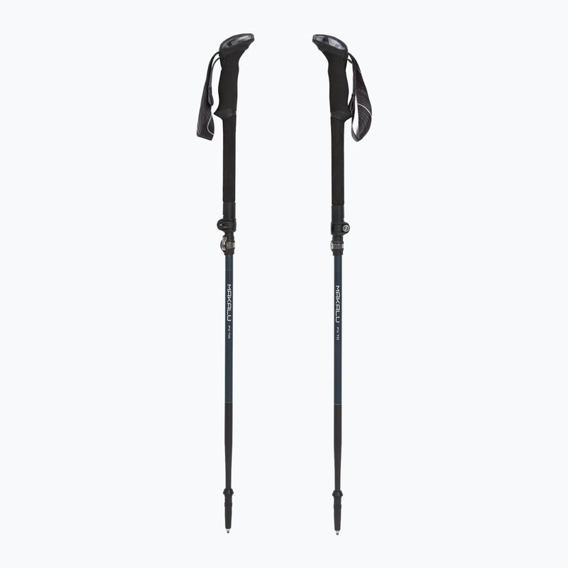Trekking poles LEKI Makalu FX TA black stone blue/dark white 5