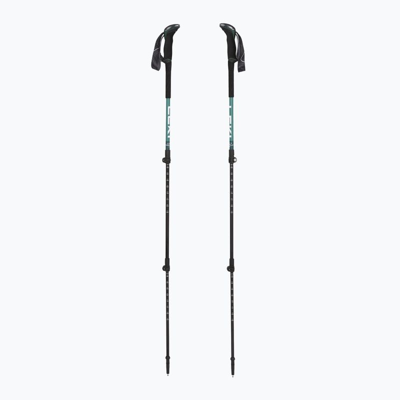 Trekking poles LEKI Makalu Lite malachite green/dark malachite green/white