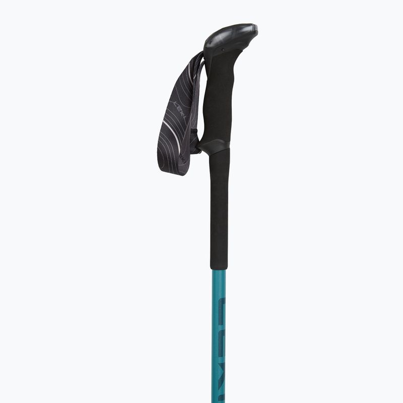 Trekking poles LEKI Makalu Lite AS greenblue light/greenblue dark 2