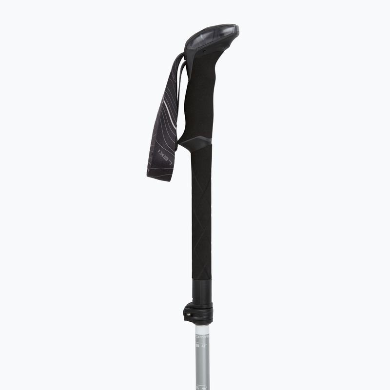 Trekking poles LEKI Makalu FX TA silver/greygreen/white 2