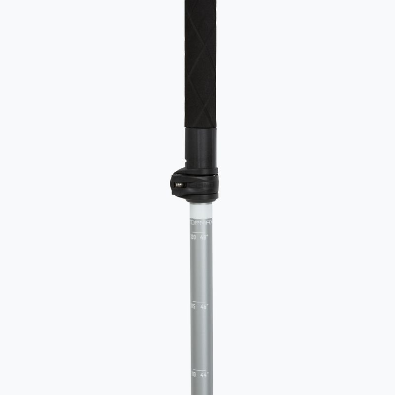 Trekking poles LEKI Makalu FX TA silver/greygreen/white 4