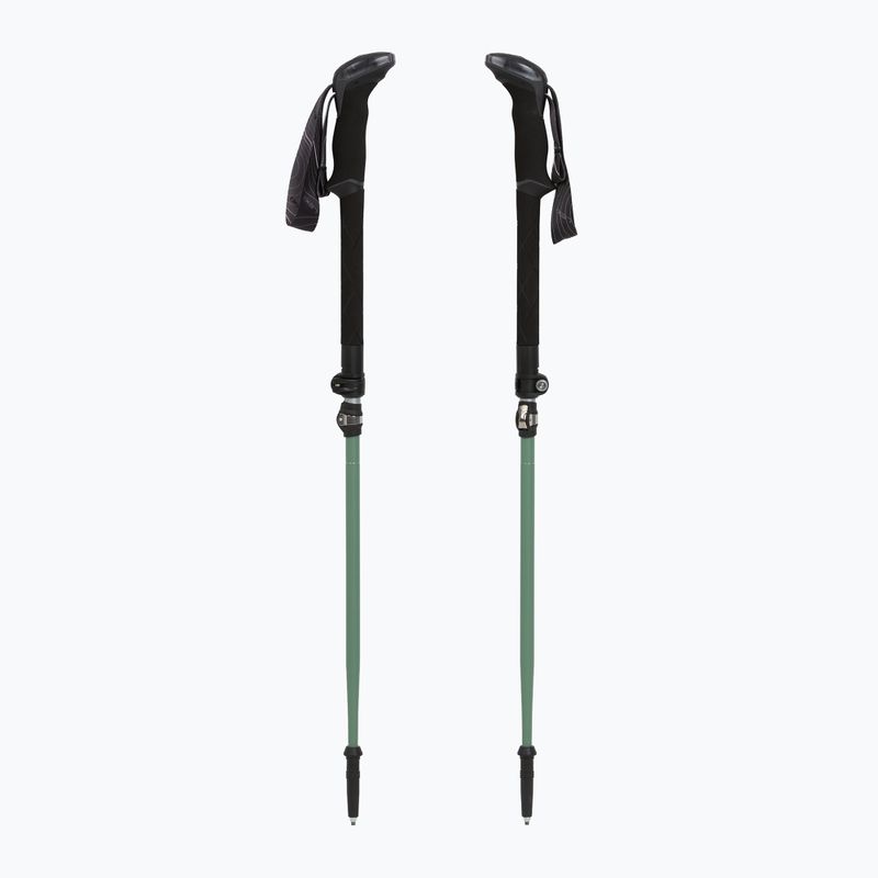 Trekking poles LEKI Makalu FX TA silver/greygreen/white 5