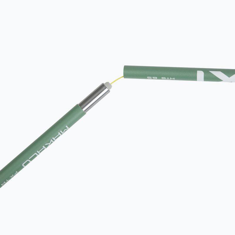 Trekking poles LEKI Makalu FX TA silver/greygreen/white 6